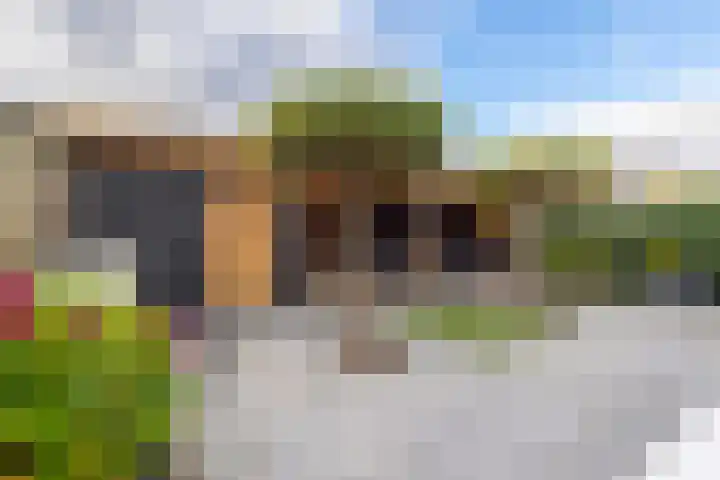 Kievit 17 Hardinxveld-Giessendam thumbnail 38