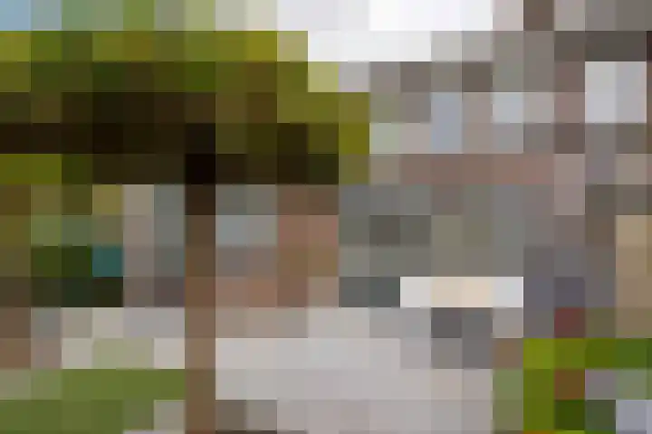 Kievit 17 Hardinxveld-Giessendam thumbnail 39