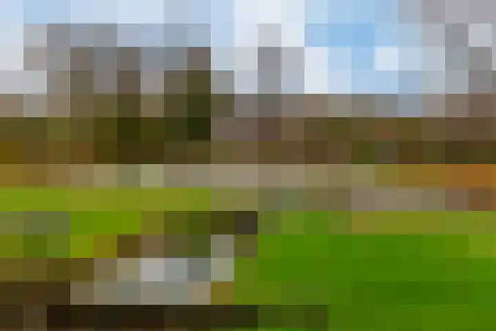 Kievit 17 Hardinxveld-Giessendam thumbnail 45