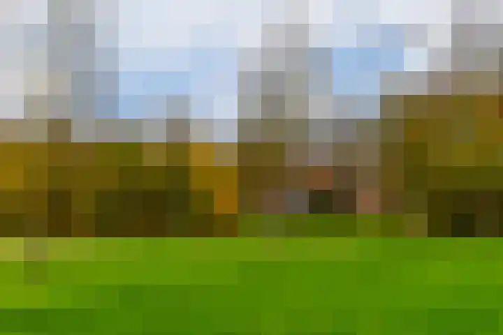 Kievit 17 Hardinxveld-Giessendam thumbnail 46