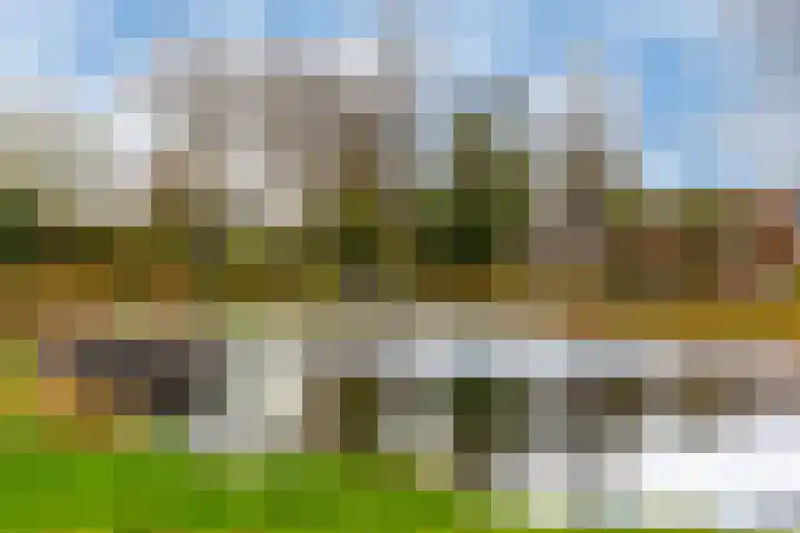 Kievit 17 Hardinxveld-Giessendam thumbnail 47