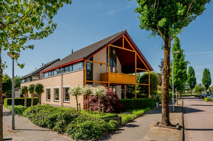 Kievit 2 in Elburg foto