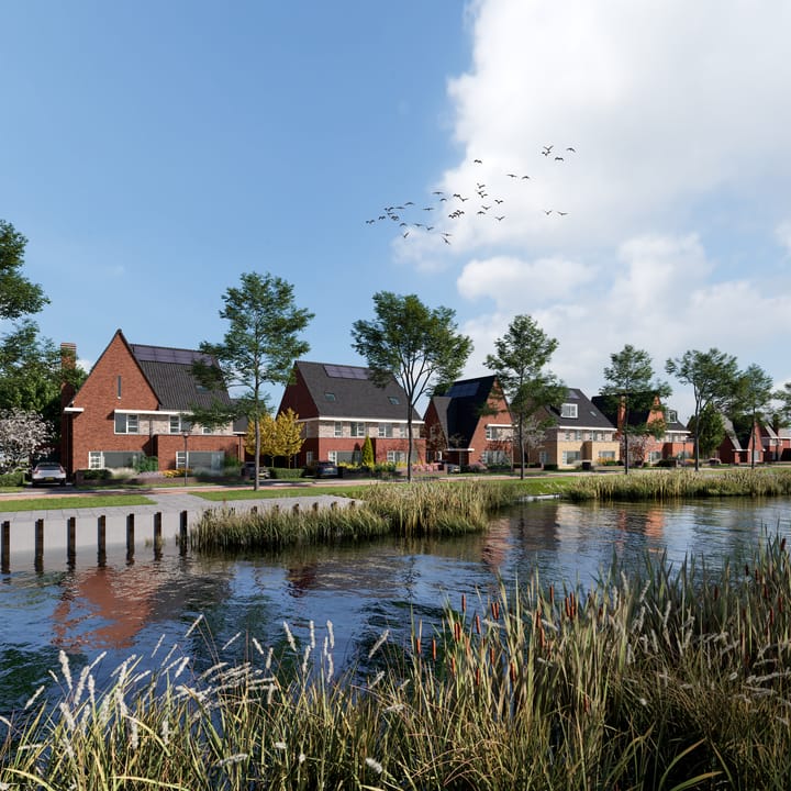 Kievit 2 in Blauwestad foto