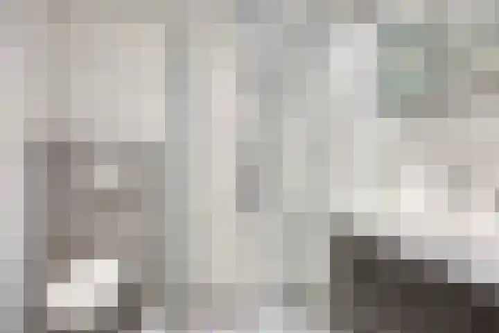 Kievit 2 De Lier thumbnail 12