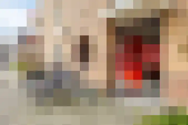 Kievit 2 De Lier foto 2