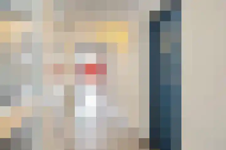 Kievit 2 De Lier thumbnail 4