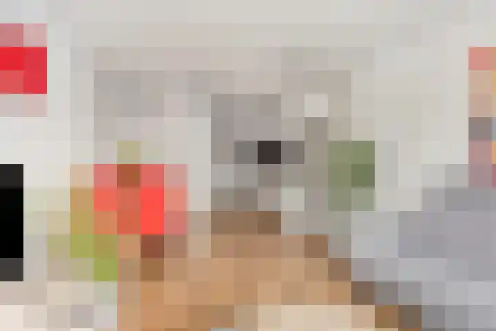 Kievit 2 De Lier thumbnail 8