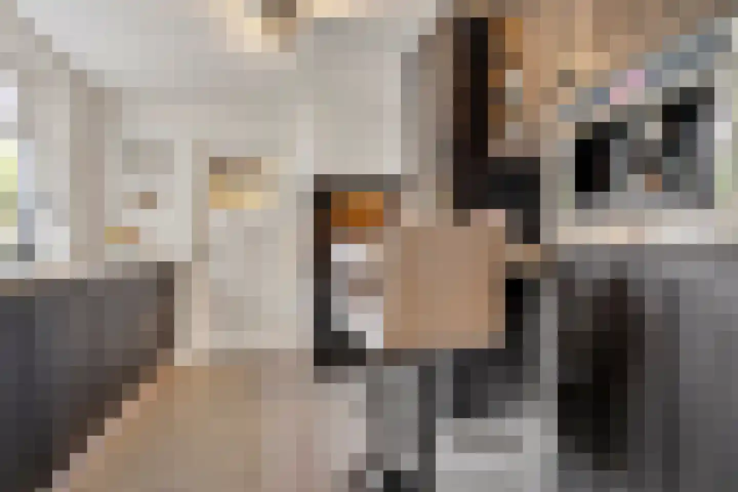 Kievit 2 De Lier thumbnail 9
