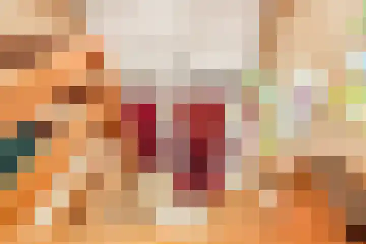 Kievit 26 Castricum thumbnail 37