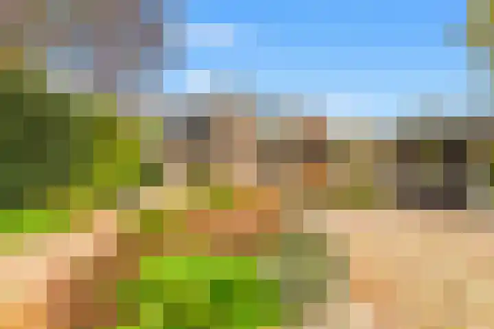Kievit 26 Castricum thumbnail 4