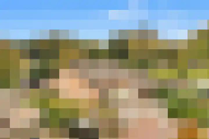 Kievit 26 Castricum thumbnail 5