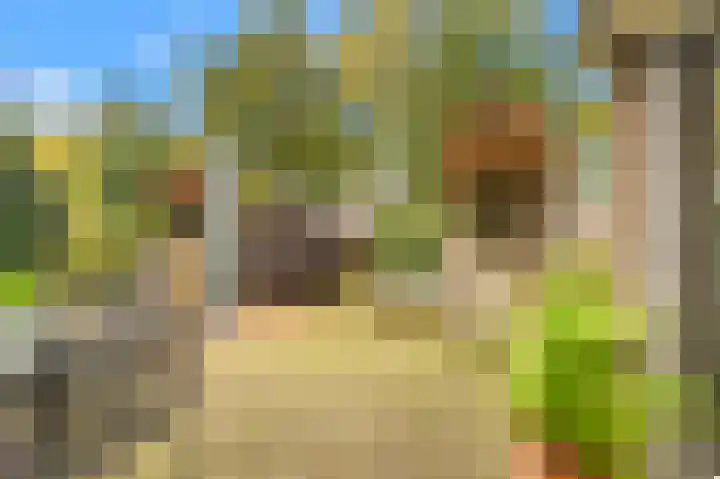 Kievit 26 Castricum thumbnail 61