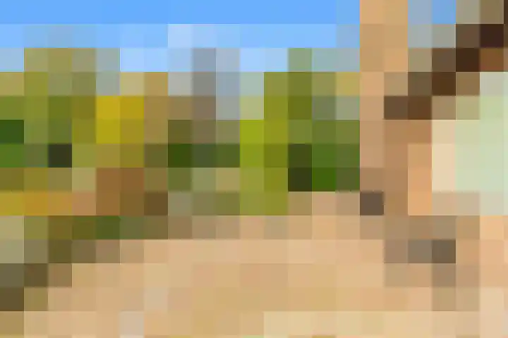 Kievit 26 Castricum thumbnail 68