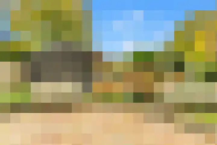 Kievit 26 Castricum thumbnail 69