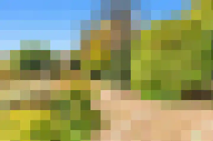 Kievit 26 Castricum thumbnail 70