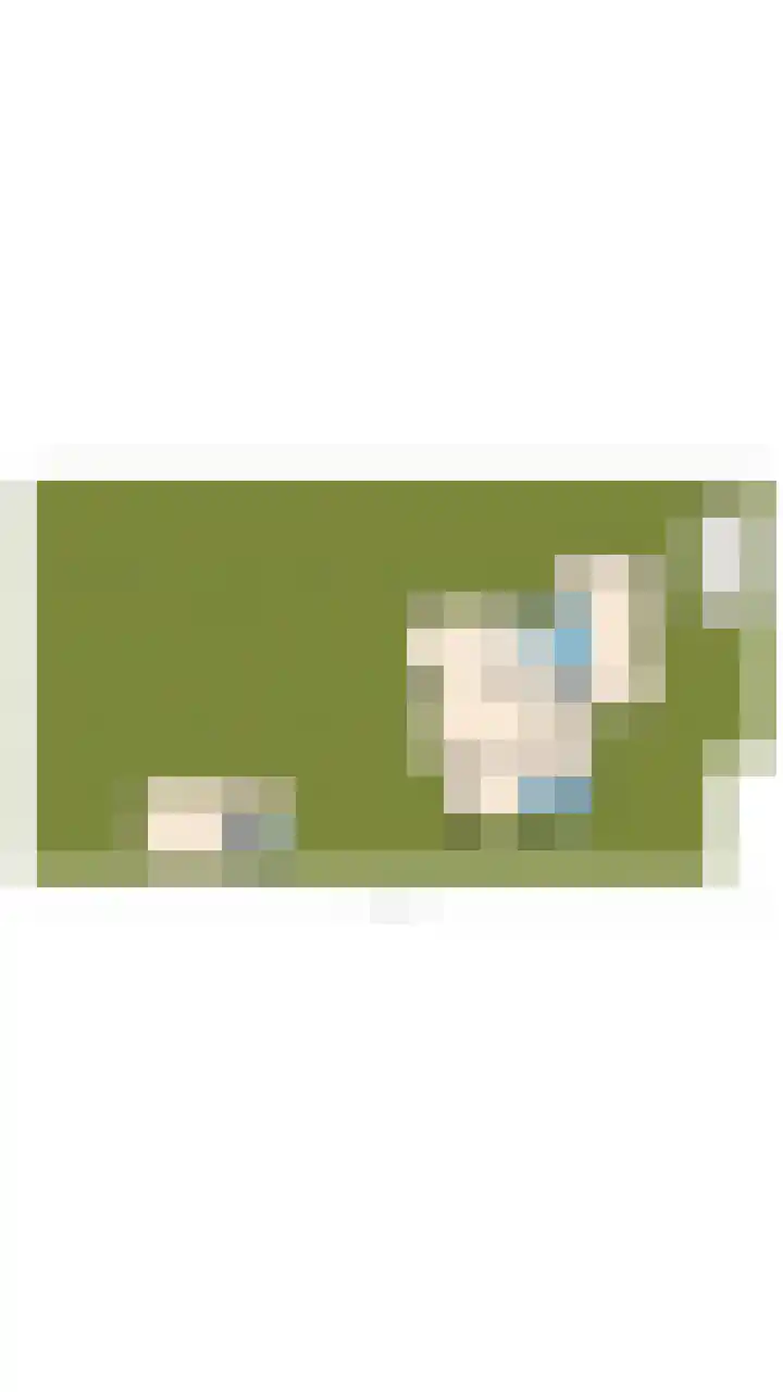 Kievit 26 Castricum thumbnail 75