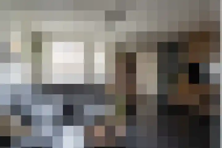 Kievit 28 Sprang-Capelle thumbnail 11