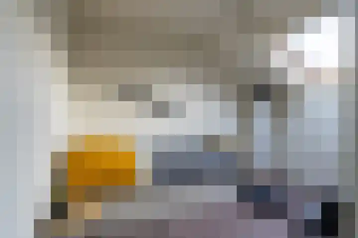 Kievit 28 Sprang-Capelle thumbnail 20