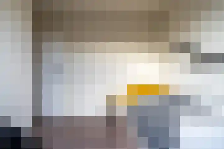 Kievit 28 Sprang-Capelle thumbnail 21