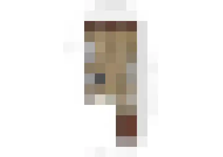 Kievit 28 Sprang-Capelle thumbnail 33
