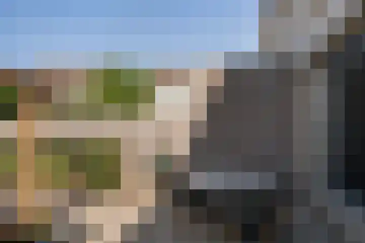 Kievit 37 's-Gravenzande thumbnail 15