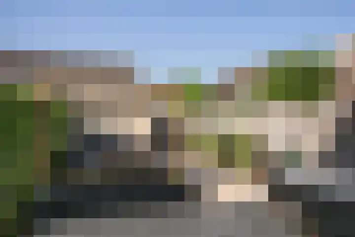 Kievit 37 's-Gravenzande thumbnail 6