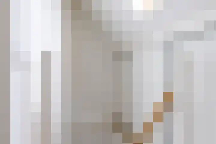Kievit 4 Grootegast thumbnail 37