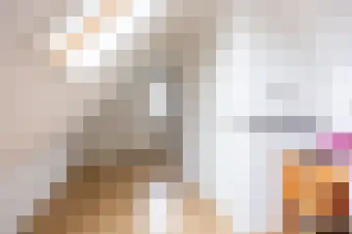 Kievit 4 Grootegast thumbnail 38