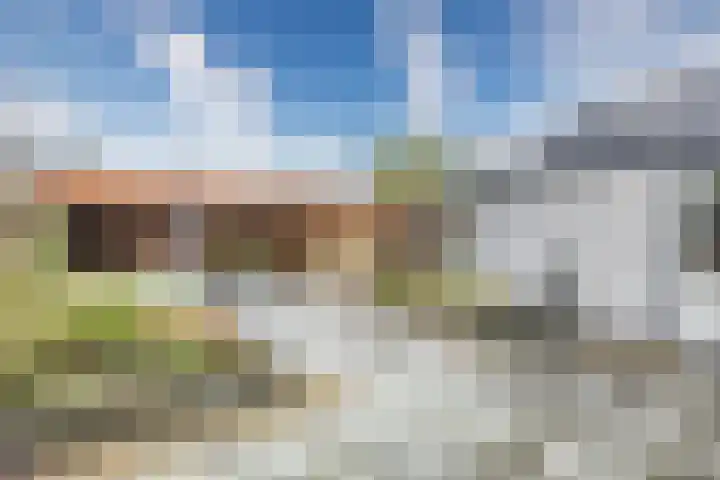 Kievit 4 Grootegast thumbnail 41