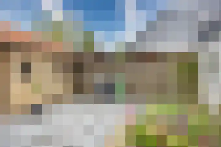 Kievit 4 Grootegast thumbnail 43