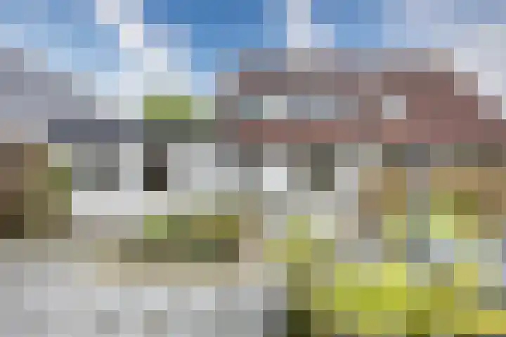 Kievit 4 Grootegast thumbnail 47