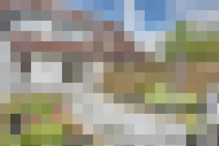 Kievit 4 Grootegast thumbnail 49