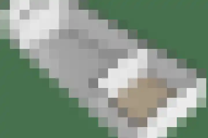 Kievit 4 Grootegast thumbnail 57