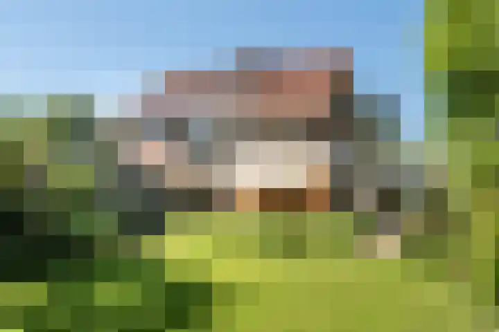 Kievit 45 Sprang-Capelle thumbnail 13