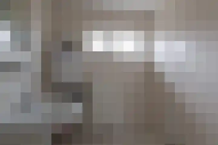 Kievit 45 Sprang-Capelle thumbnail 14