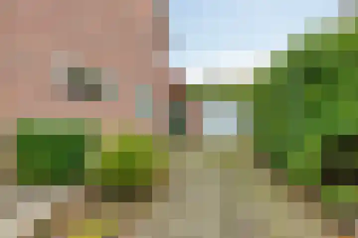 Kievit 45 Sprang-Capelle thumbnail 20