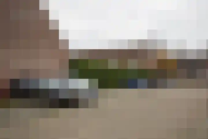 Kievit 45 Sprang-Capelle thumbnail 6