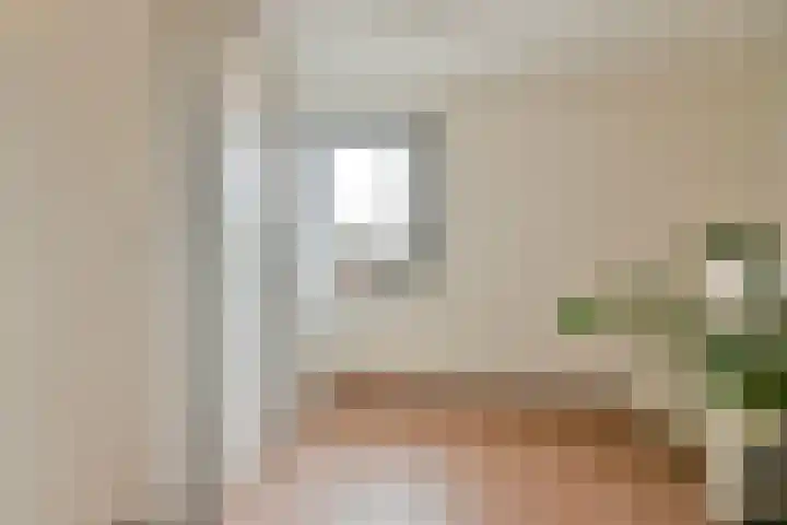 Kievit 45 Sprang-Capelle thumbnail 7