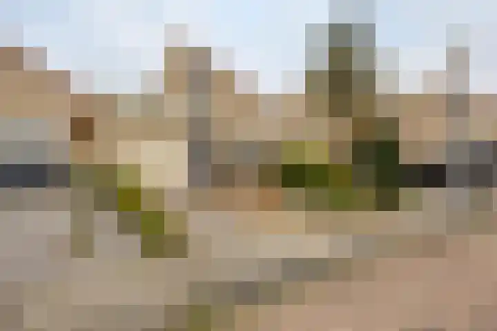 Kievit 5 Oostzaan