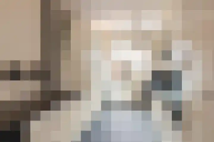 Kievit 51 Wijhe thumbnail 10