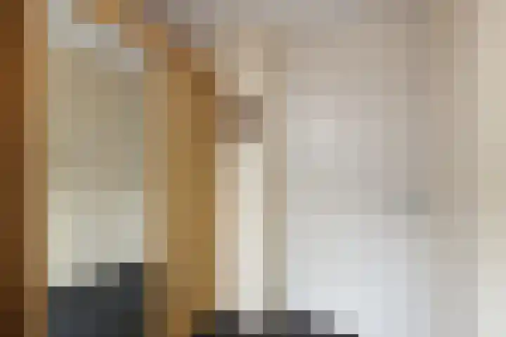Kievit 51 Wijhe thumbnail 12