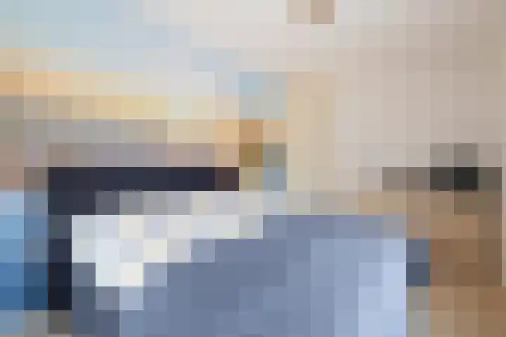 Kievit 51 Wijhe thumbnail 15