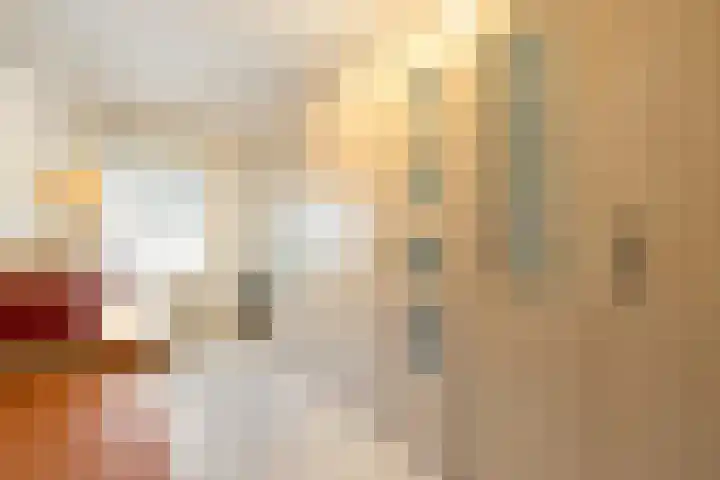 Kievit 51 Wijhe thumbnail 17