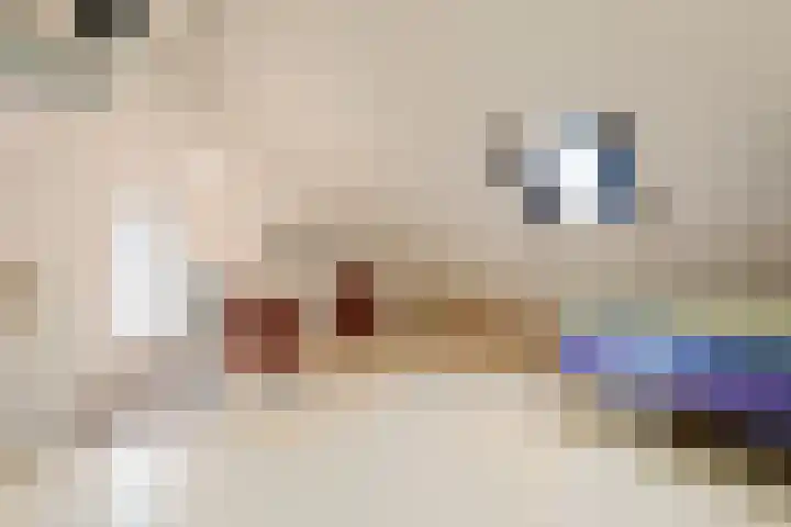 Kievit 51 Wijhe thumbnail 23