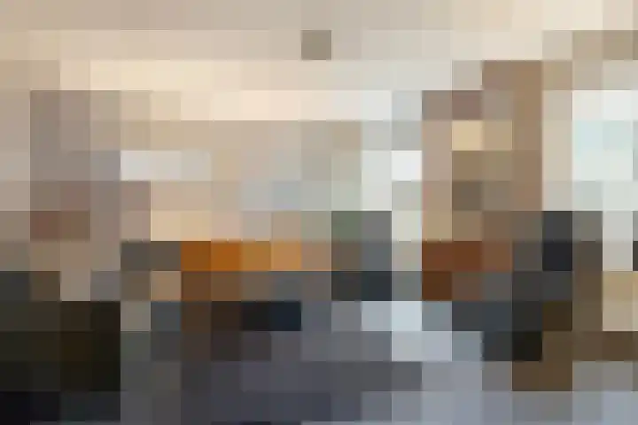 Kievit 51 Wijhe thumbnail 4