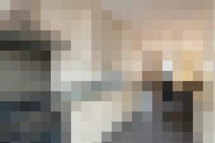 Kievit 51 Wijhe thumbnail 9