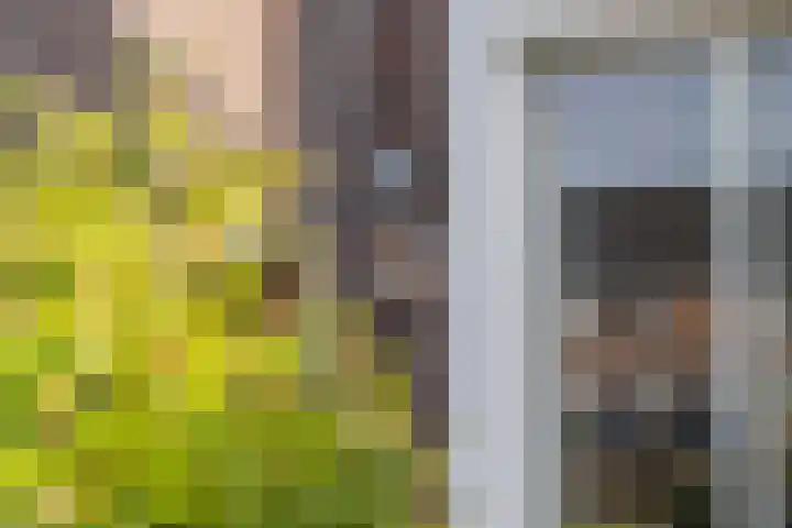 Kievit 56 Maurik thumbnail 12