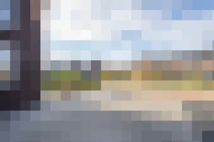 Kievit 56 Maurik thumbnail 14