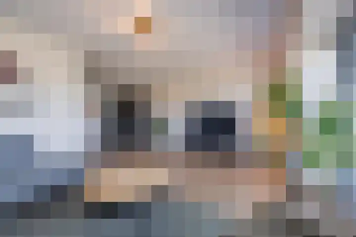 Kievit 56 Maurik thumbnail 21