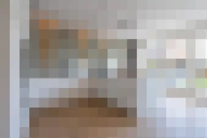 Kievit 56 Maurik thumbnail 25